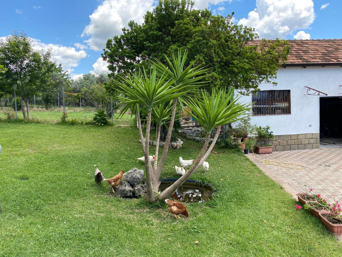 Bed and Breakfast A Casa Di Nonna Emilia Campagna Exterior foto